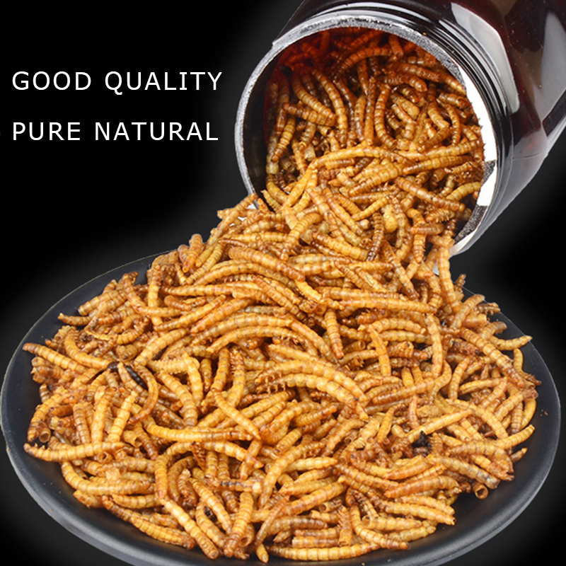 High Protein Natural eco-friendly dried mealworms for animal food pet food 
